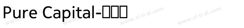 Pure Capital字体转换